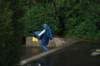 dsc_6605_small.jpg