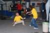 dsc_7066_small.jpg