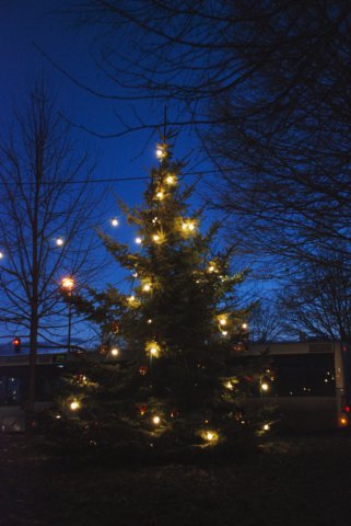dsc_9825.jpg