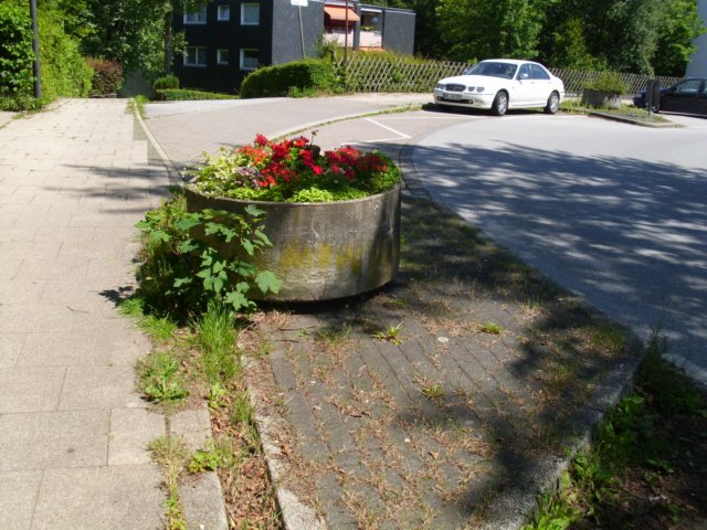 einfachunschn.jpg