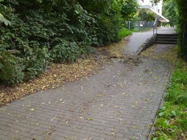 laublaubundnochmalslaub.jpg
