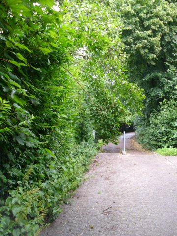stehngentiefindenilpweg.jpg