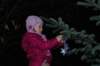 dsc_1600_small.jpg